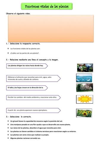 FUNCIONES VITALES DE LAS PLANTAS