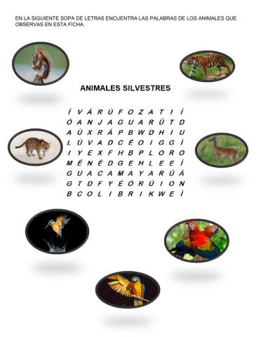 Animales silvestres