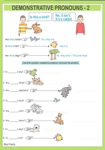 Demonstrative pronouns 2