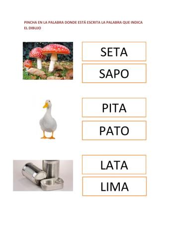 Busca la palabra correcta