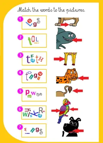 Parts of the body. Bugs Team 3