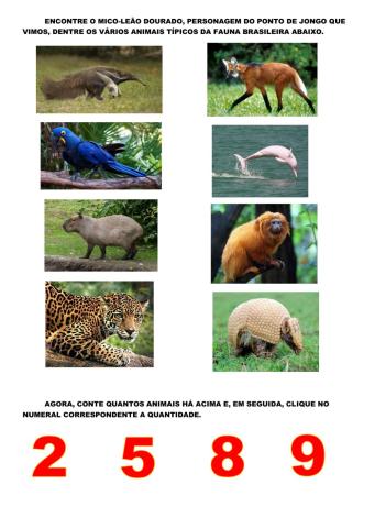 Mico-leão dourado e animais da fauna brasileira