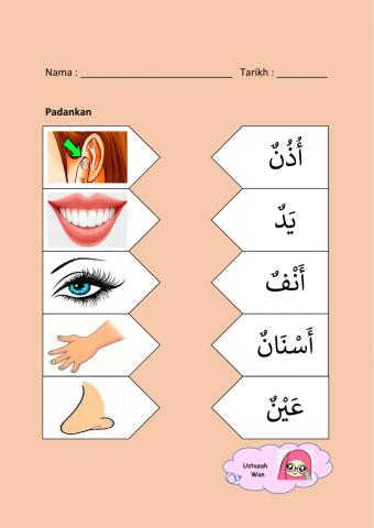 Bahasa Arab Mudah (Anggota Badan)