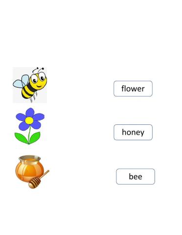 Voc bees