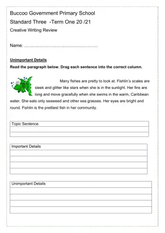 Paragraph Writing Review