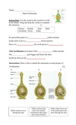 Fertilization in plants