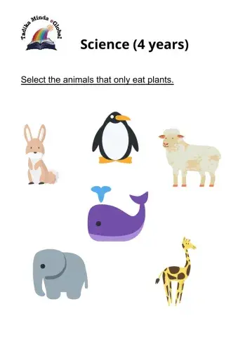 4 Years: Science Set 10 Page 1