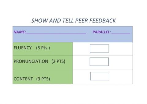 Exposition Peer Feedback