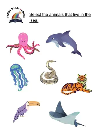 4 Years: Science Set 9 Page 1