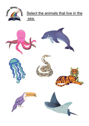 4 Years: Science Set 9 Page 1