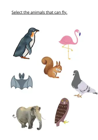 4 Years: Science Set 9 Page 2