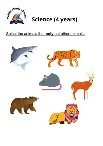 4 Years: Science Set 11 Page 1