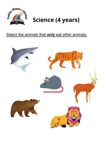 4 Years: Science Set 11 Page 1