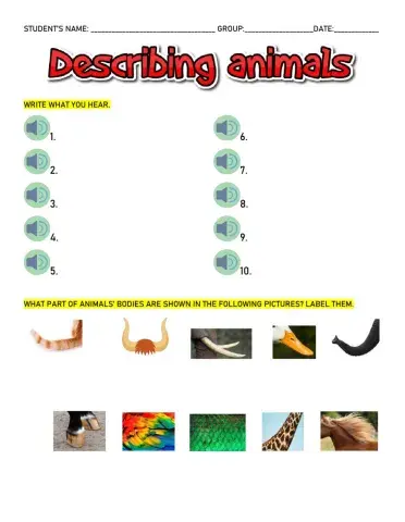 Describing animals
