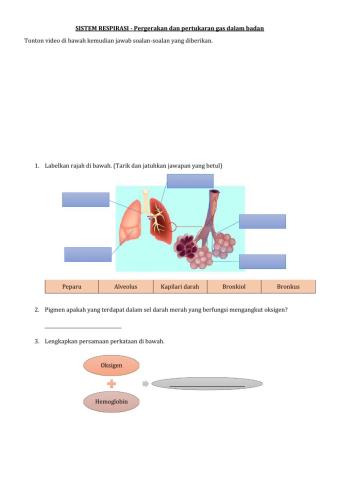 Pertukaran Gas dalam Alveolus