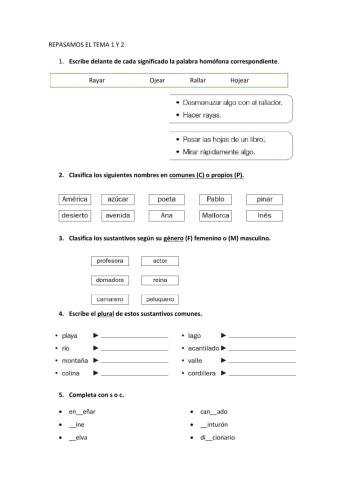 Tipos de sustantivos, palabras homófonas, ortografía