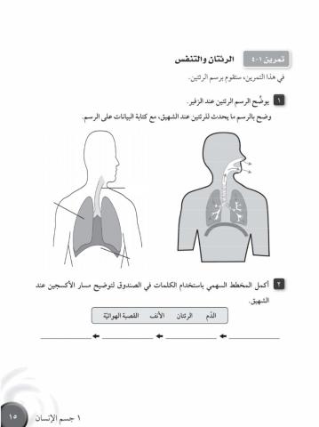 تمرين 1-4 الرئتان والتنفس