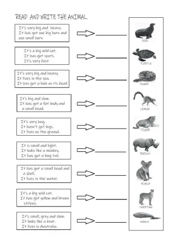 Wild animals descriptions
