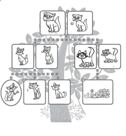 Family - Tiger and Friends -Macmillan- - A.Soszka