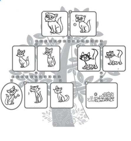 Family - Tiger and Friends -Macmillan- - A.Soszka