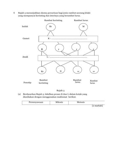Variasi dan Keturunan