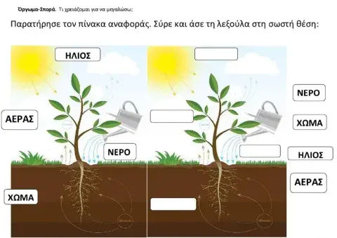 Τι χρειάζομαι να μεγαλώσω