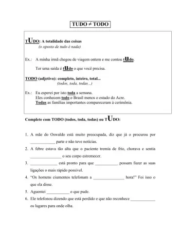 Todo ≄tudo pronome indefinido