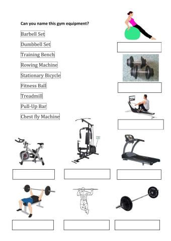 Fitness Equipment