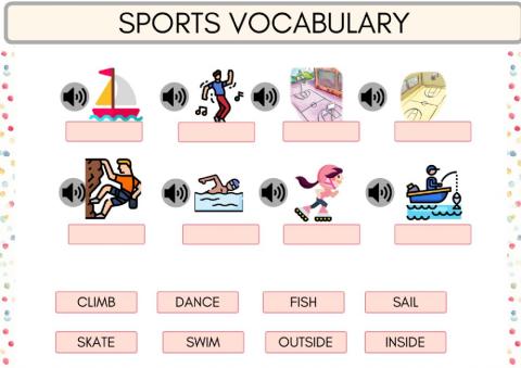 Sports Vocabulary