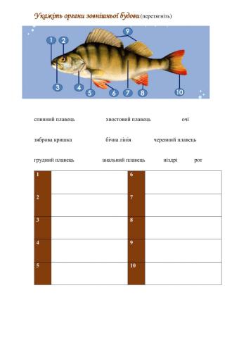 Кісткові риби