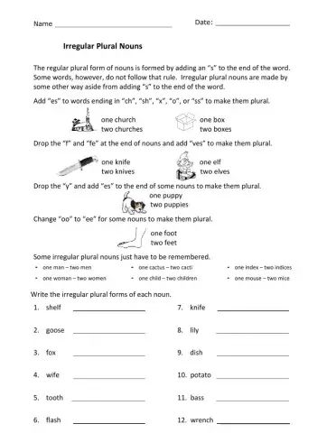 Irregular Plural Nouns