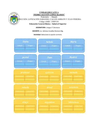 Sustantivos propioss, comunes, individual y colectivo.