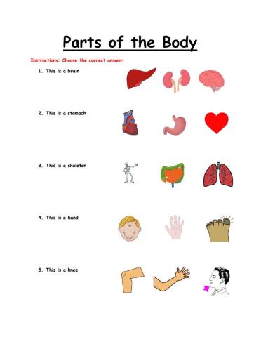 Parts of the Body