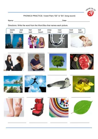 Vowel Pair -EE & EA-