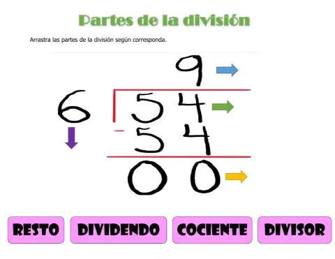 Partes de la división