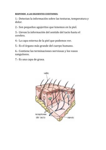 Cuestiones sobre el tacto