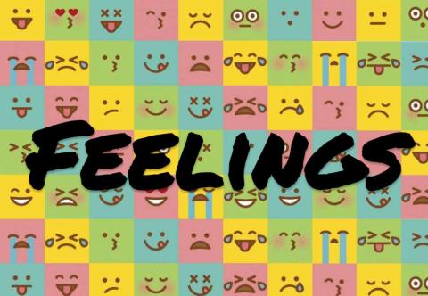 Feelings