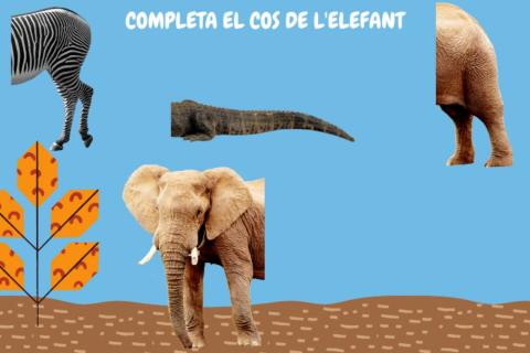 Completa el cos de l'elefant
