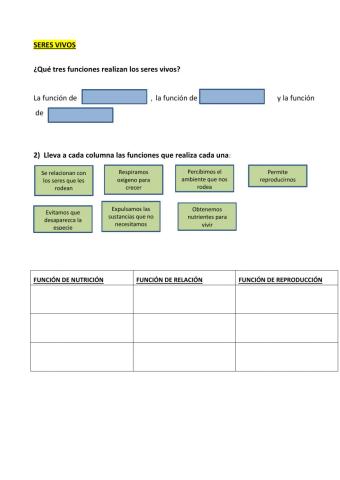 Reino de las plantas