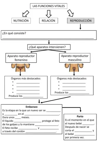 Función de reproducción