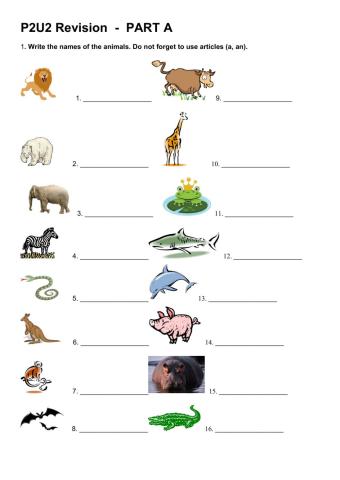 Animals P2U2 revision Part A