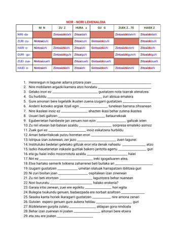 Nor - Nori Iraganaldia