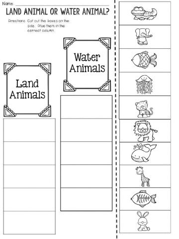 Land and Water Animal Sort