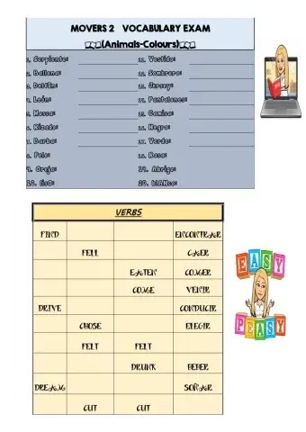 Vocabulary movers 2 animals-colours