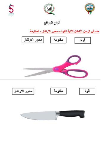 النوع الأول من الروافع