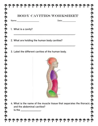Body Cavities