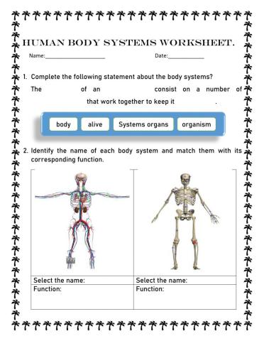 Human body system