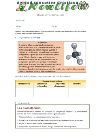 Actividad de evaluación - biomoléculas
