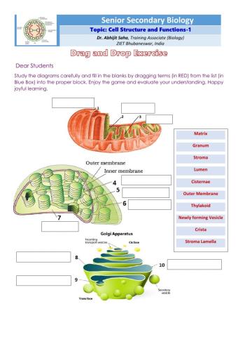 Senior Secondary Biology: Cell Structure and Function 1