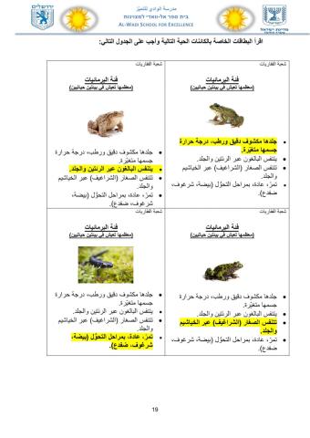 ورقة عمل التصنيف للكائنات مع البطاقات